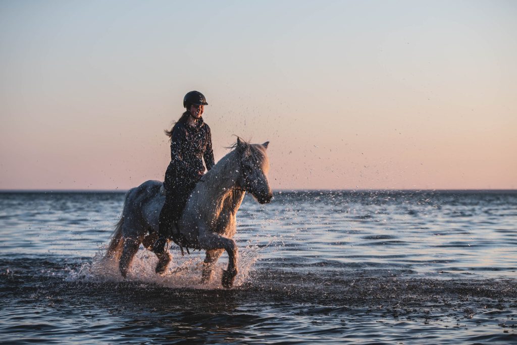 Jokla-havet-1024x684 - yoga