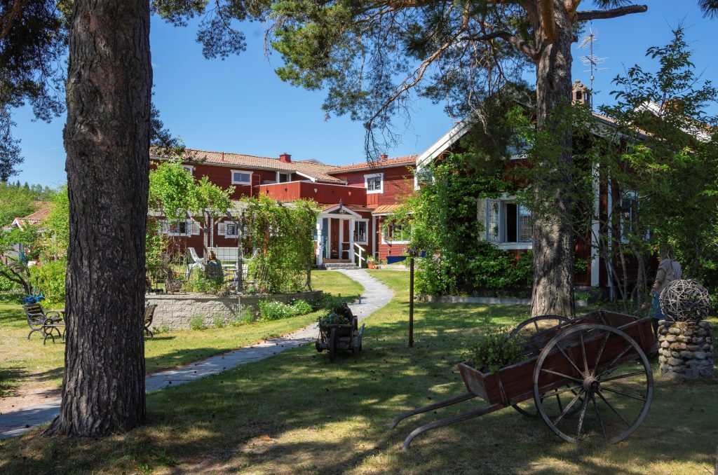 mases_sommar3-1024x678 - yoga