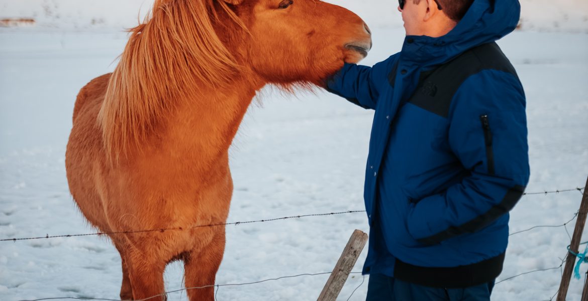 pexels-photo-4558521-scaled