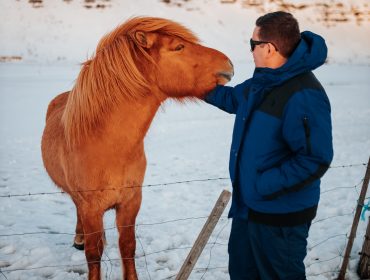 pexels-photo-4558521-scaled
