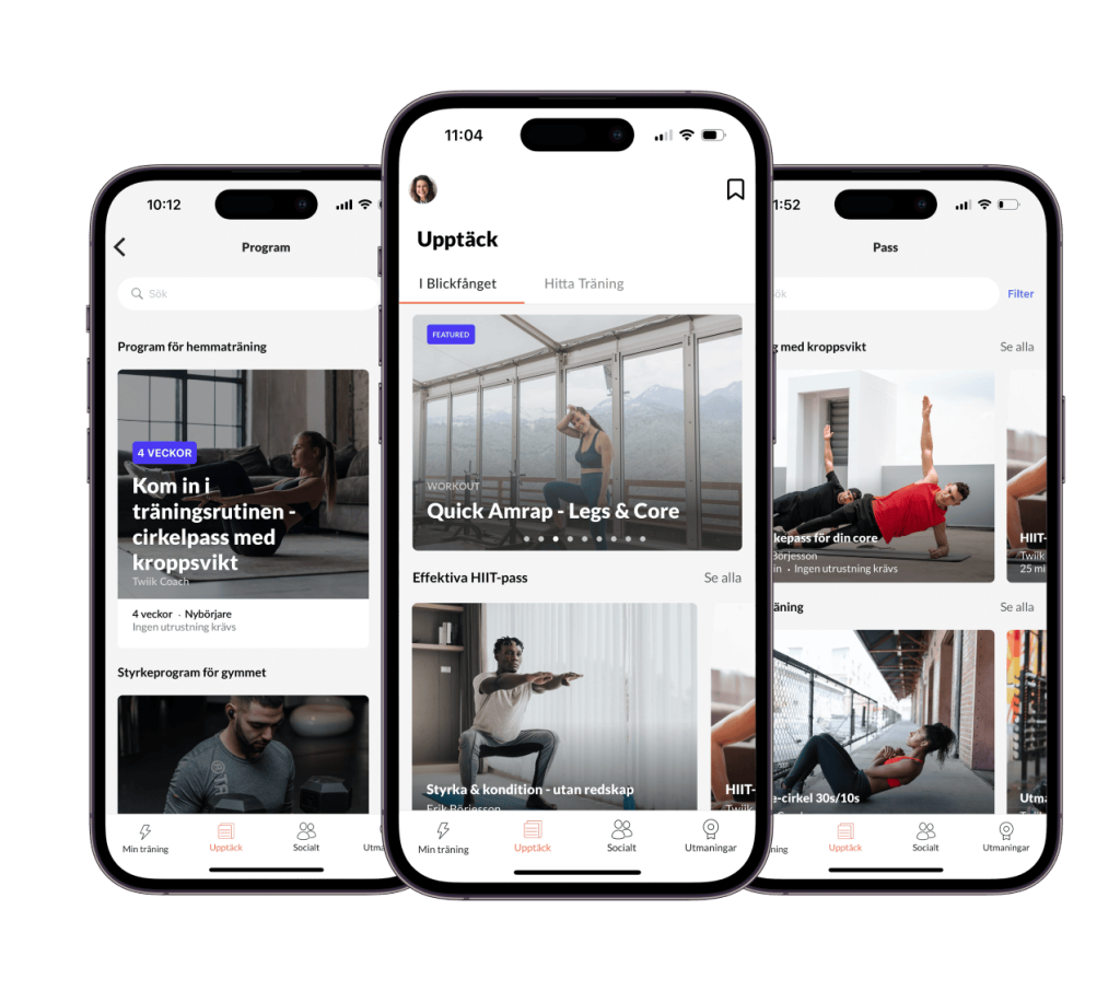 premium_2-1024x906 - Twiik Premium