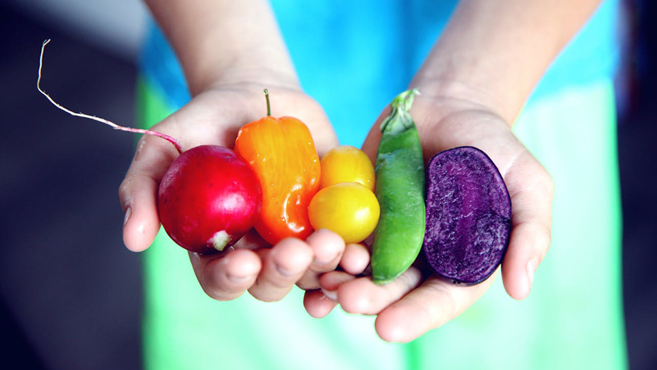 gronsaker_hander SMART formeln