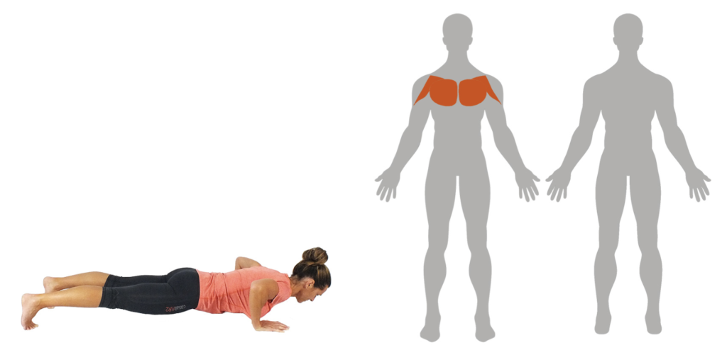 Skarmavbild-2024-05-10-kl.-15.53.51-1024x494 - kroppsviktspass