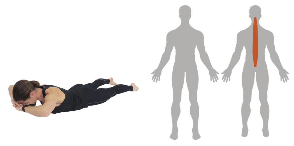 Skarmavbild-2024-05-10-kl.-16.04.49-1024x510 - kroppsviktspass