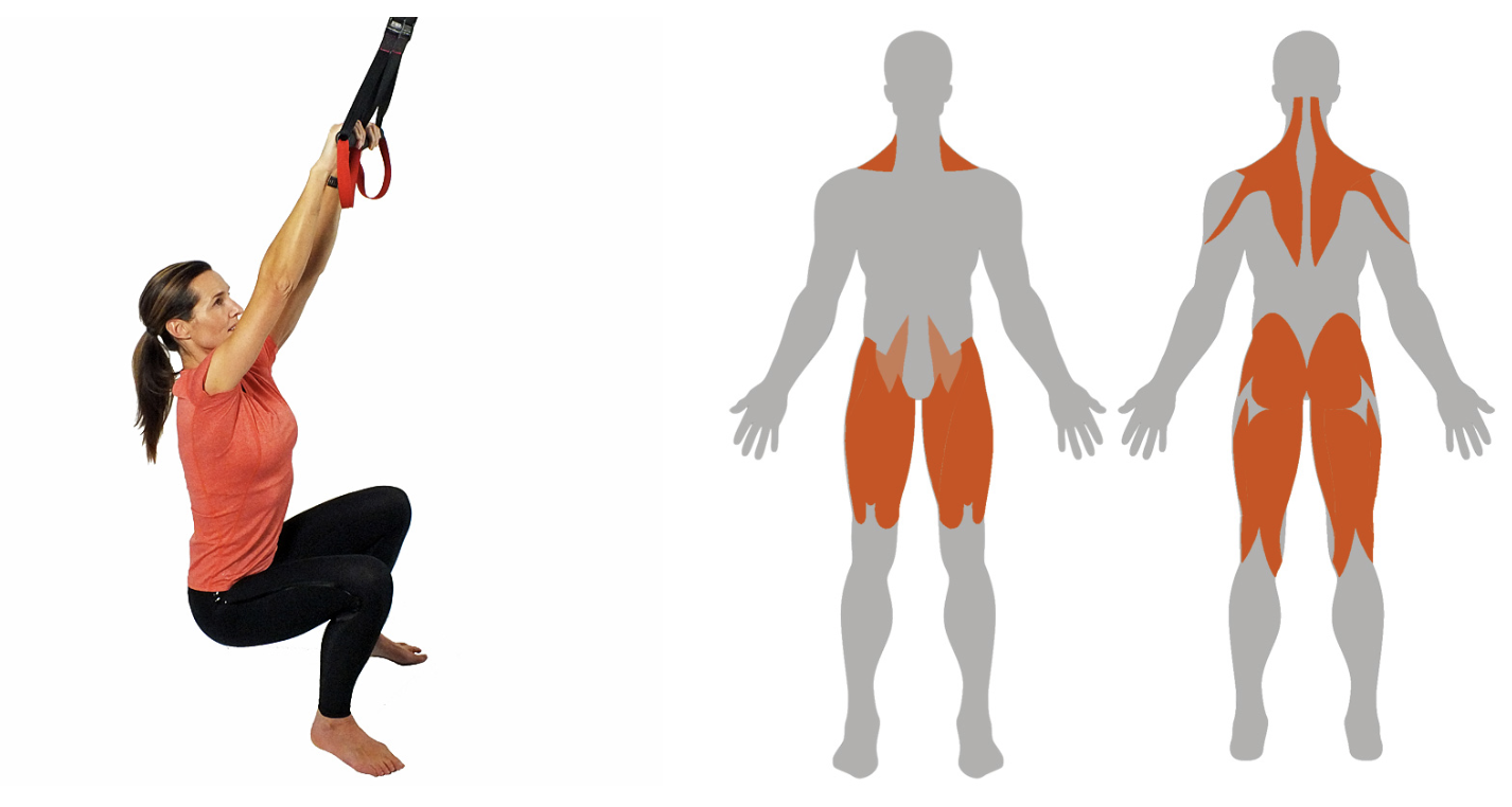 Skarmavbild-2024-05-21-kl.-15.25.56 - helkroppspass med TRX