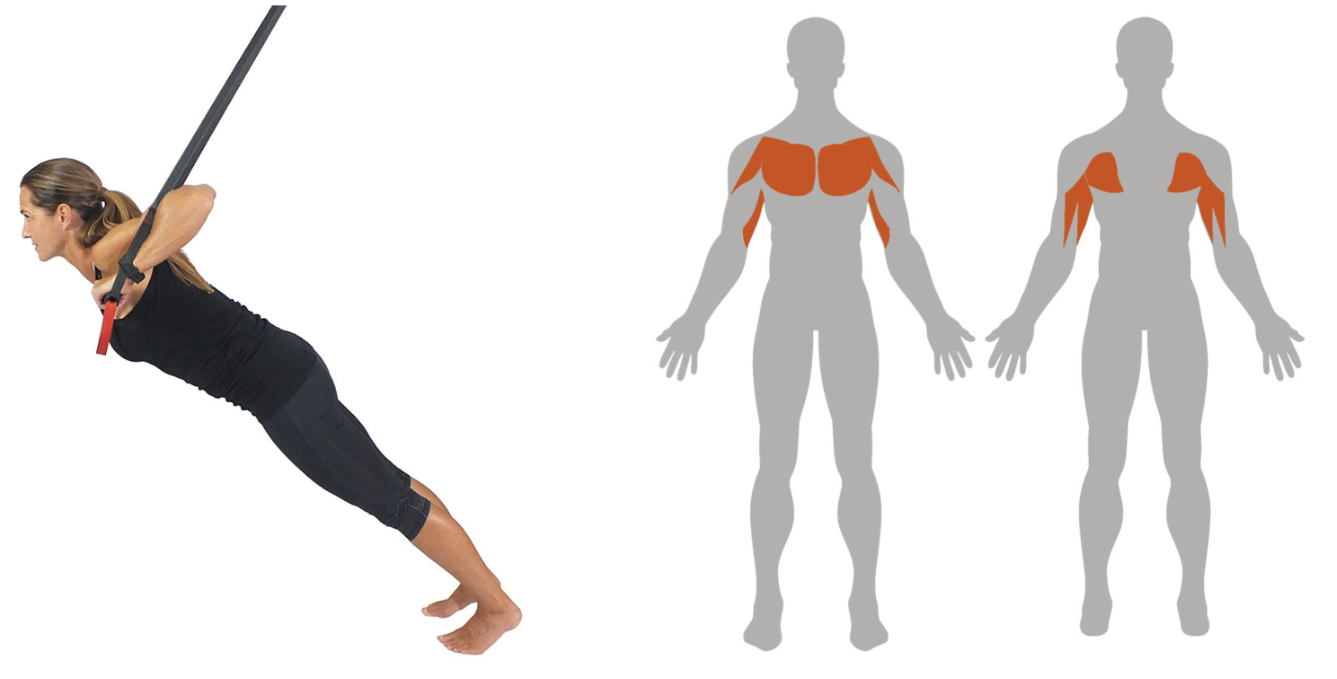 Skarmavbild-2024-05-21-kl.-15.27.18 - helkroppspass med TRX