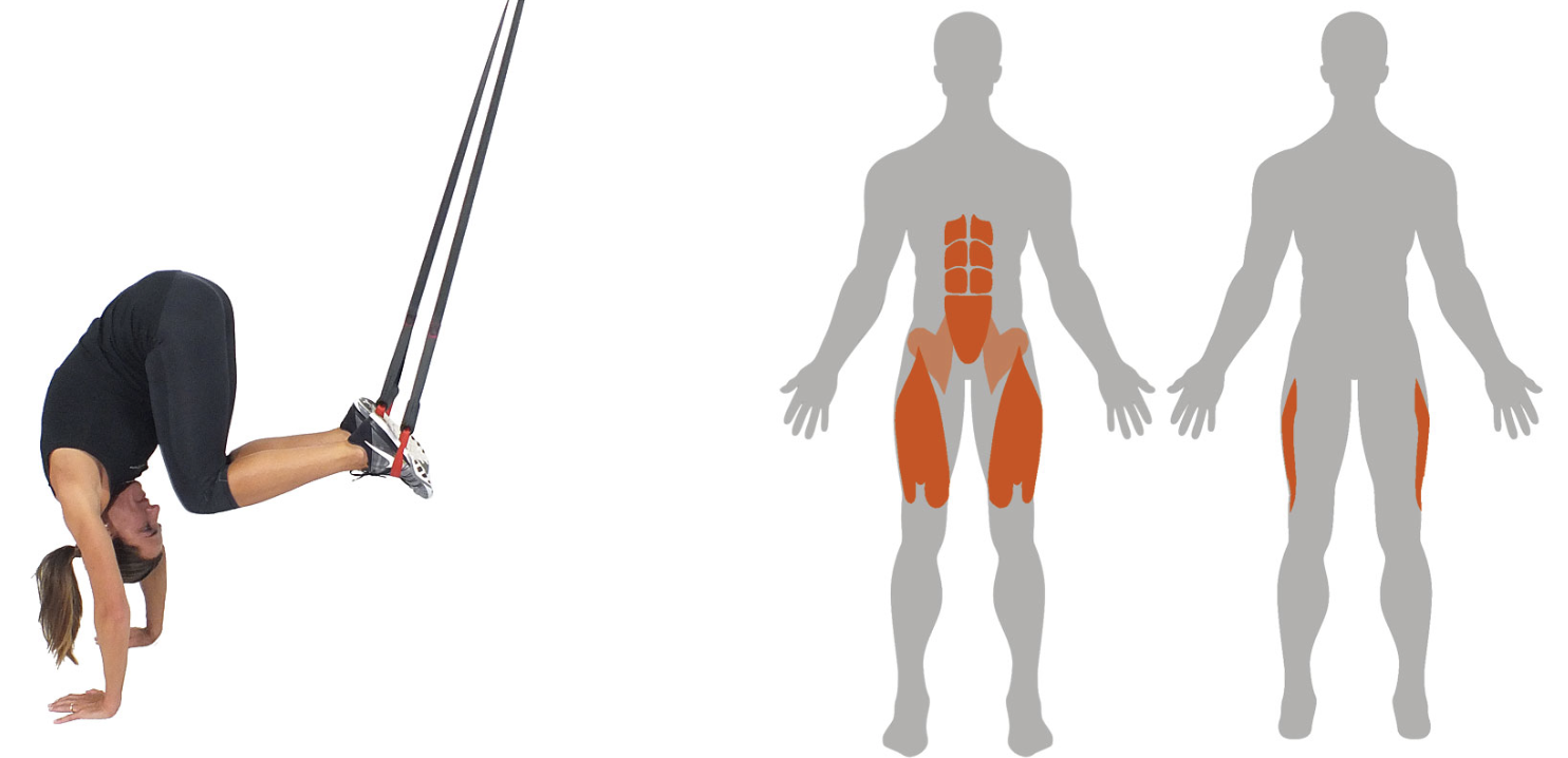 Skarmavbild-2024-05-21-kl.-15.32.39 - helkroppspass med TRX