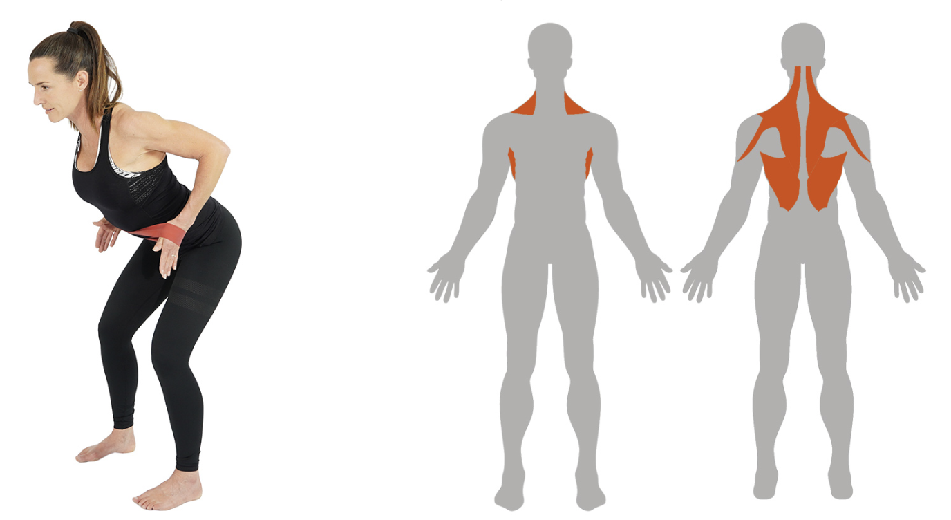 Skarmavbild-2024-05-31-kl.-14.42.53 - helkroppspass med miniband