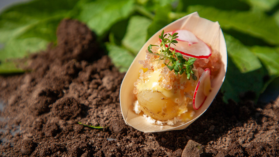 recept av färskpotatis