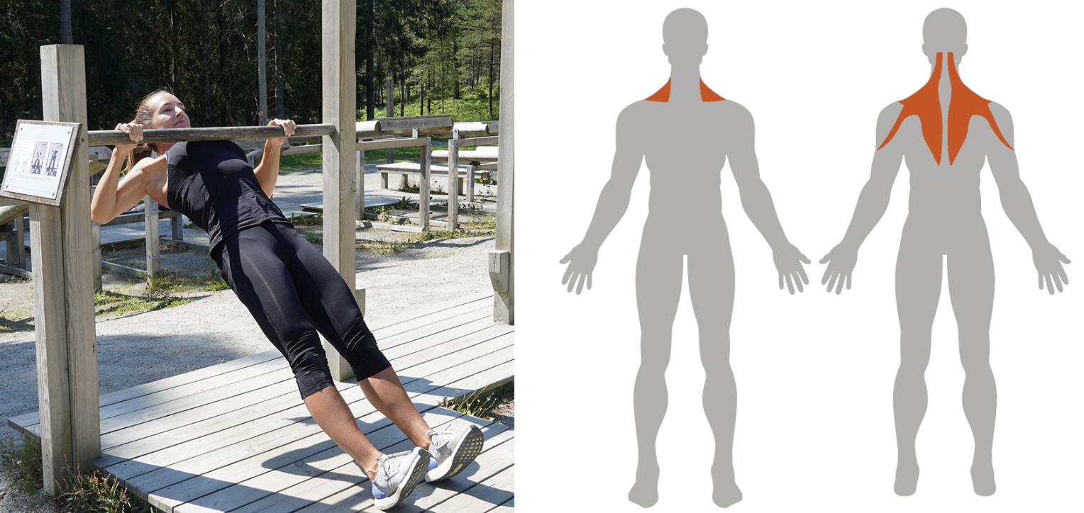 Skarmavbild-2024-06-10-kl.-16.04.09 - helkroppspass i utegym