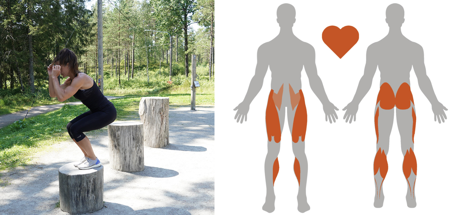 Skarmavbild-2024-06-10-kl.-16.08.47-1 - helkroppspass i utegym