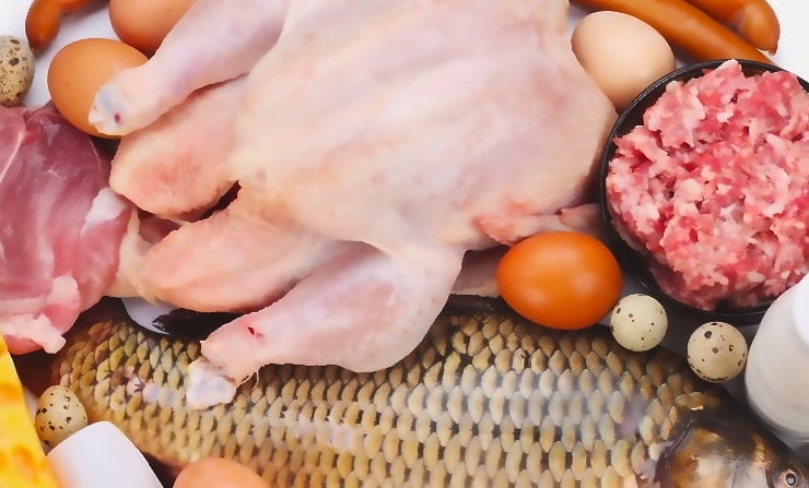 Därför är protein bra efter träning