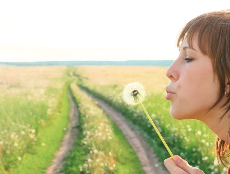 Första hjälpen inför pollensäsongen