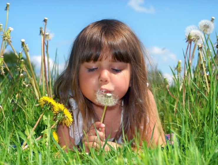 Nasaleze – effektiv hjälp vid gräspollenallergi