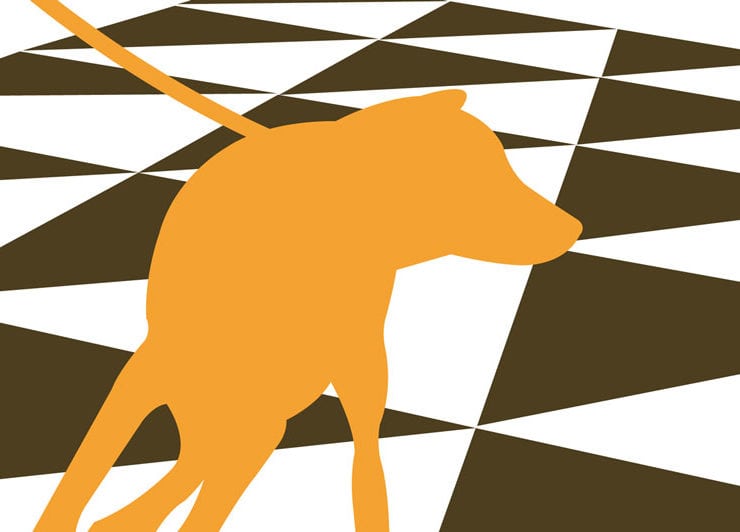 Hundpromenader i Stockholm