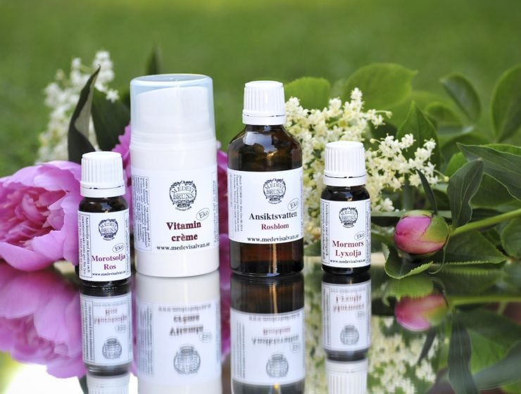 Höstlov med Medevi ProSalus på Astrid Lindgrens Värld