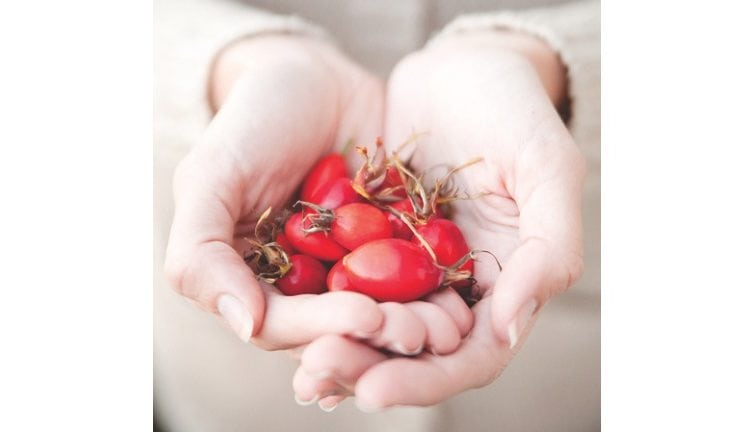 Hur sur är din kropp?