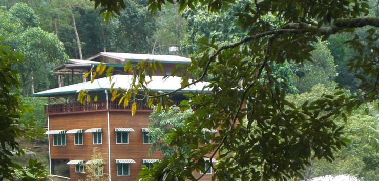 Åk på en yogaresa till regnskogen på Borneo