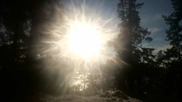 DSC_0151_1_0 - Sju sätt att boosta med dagsljus och sol