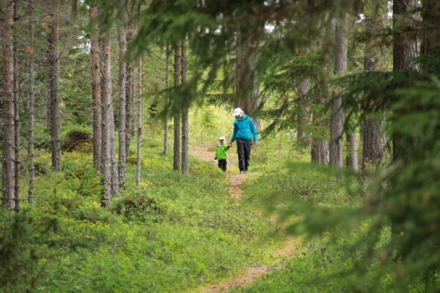 IMG_4905_1_0 - Det där med barn och idrott…