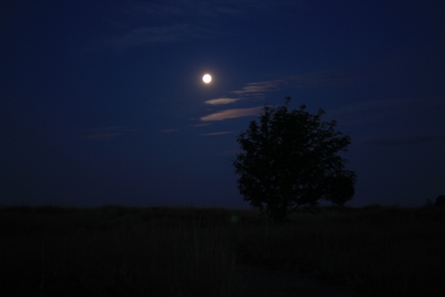 IMG_6048_0 - Energiboost i naturen