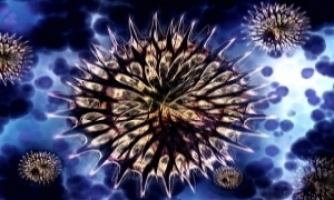bacteria-1470778_640_0_0_0_0