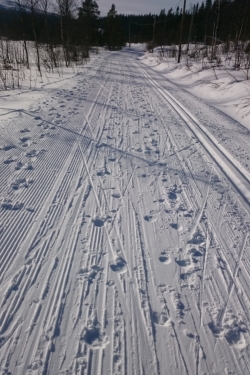 hål-i-skidspåret2_1 - 