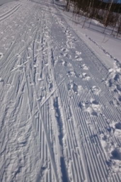 hål-i-skidspåret_0_0 - 