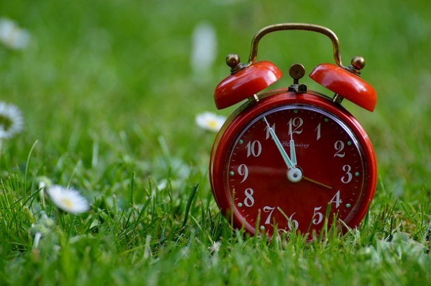 the-eleventh-hour-758723_640_0 - Vad kan vi lära oss av Skalman?
