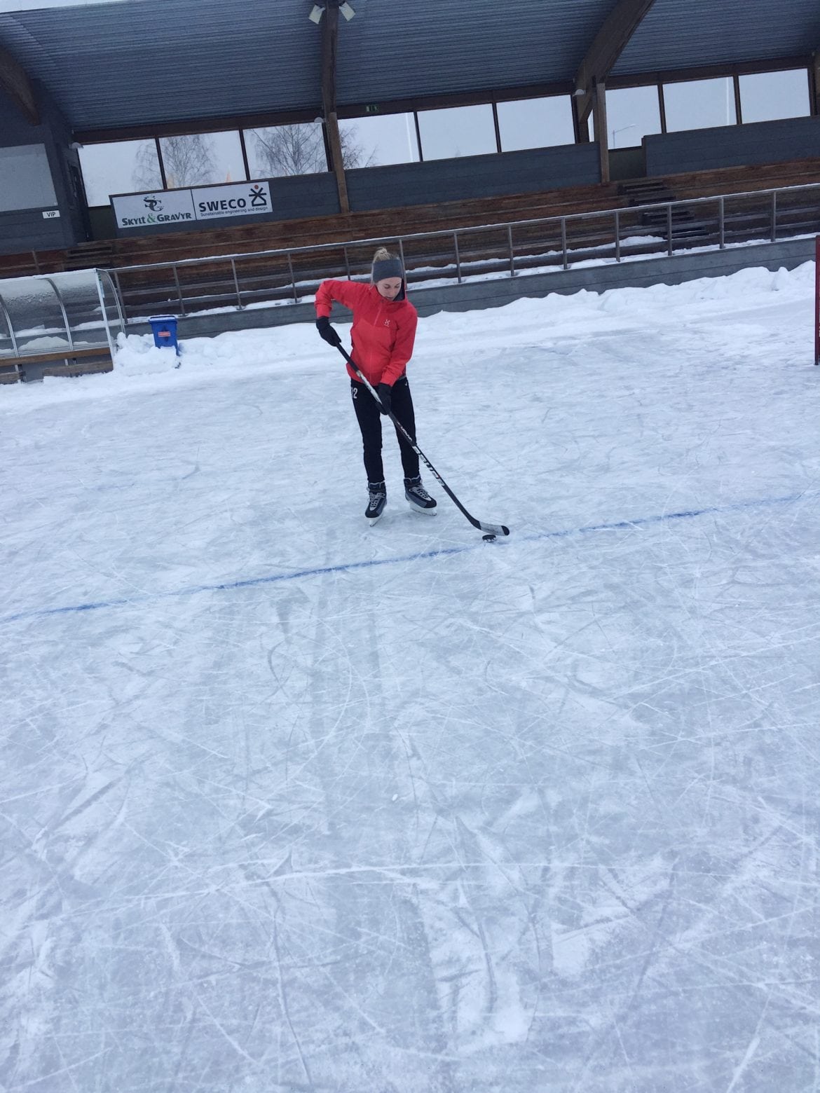 Skridskor som helgaktivitet