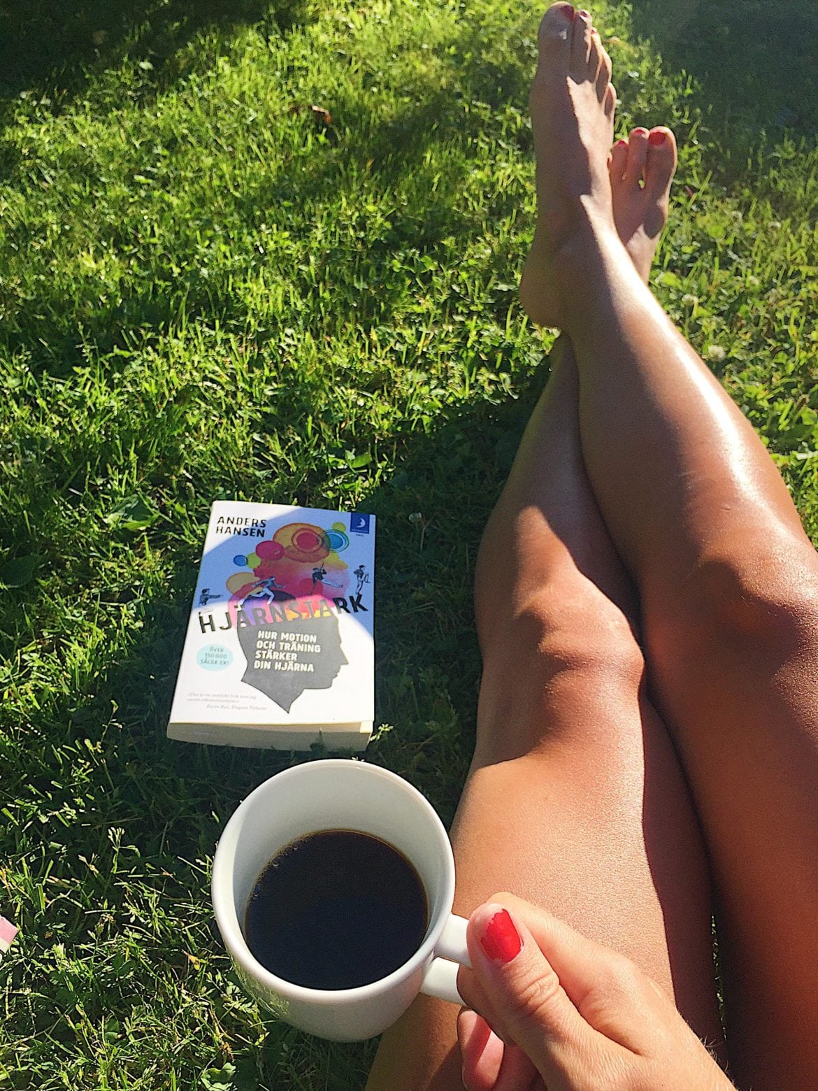 37154007_10156753499193984_8609948138871980032_n - Stuglivet när det är som bäst