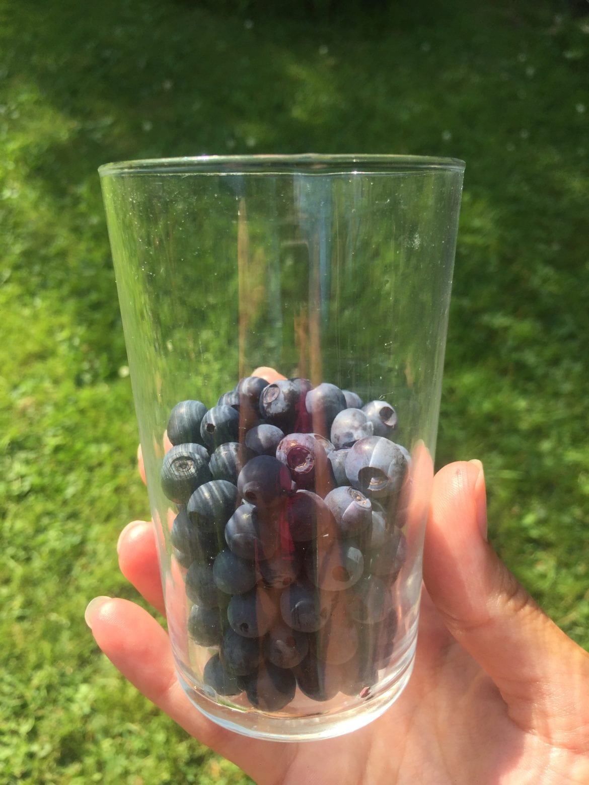 37764497_10156782538433984_2649841667393191936_n - Att vara utan internet