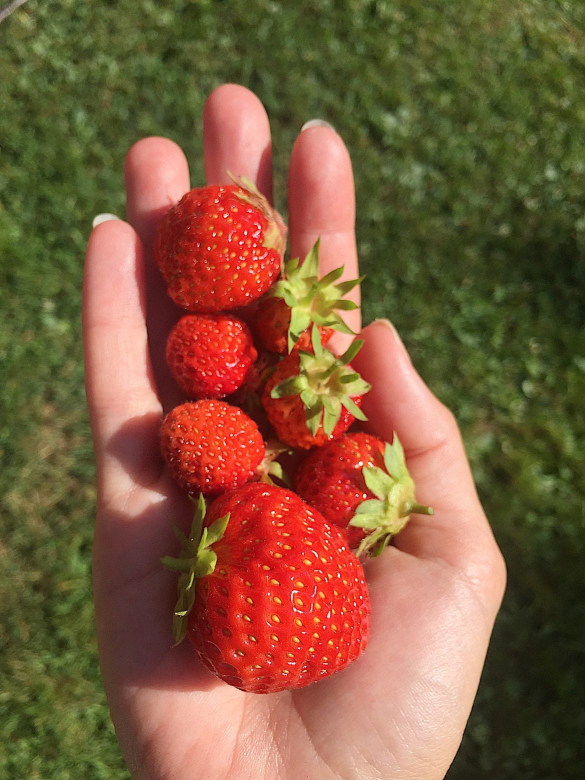 37830028_10156782537603984_965596484516970496_n - Att vara utan internet