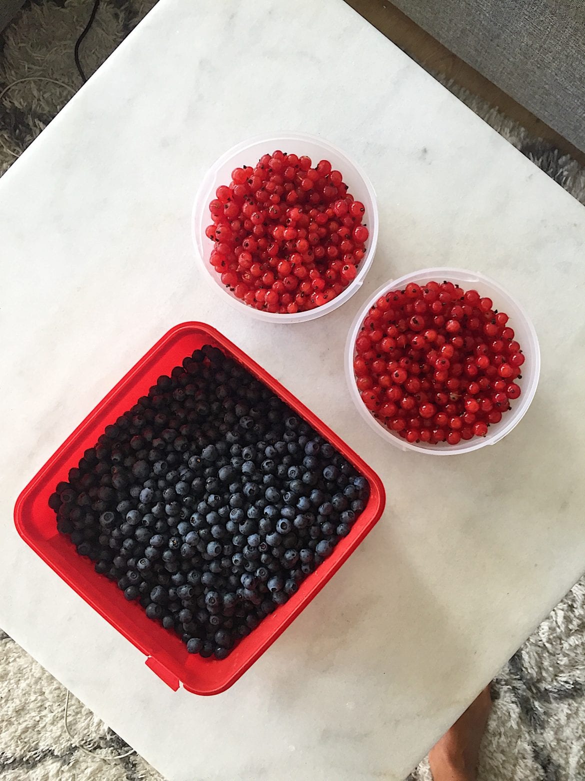 En härliga höst - blåbär och röda vinbär