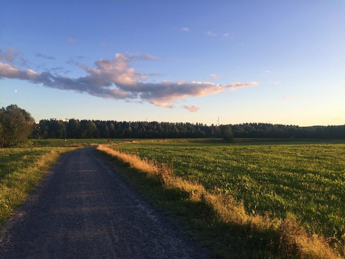 Kvällspromenad