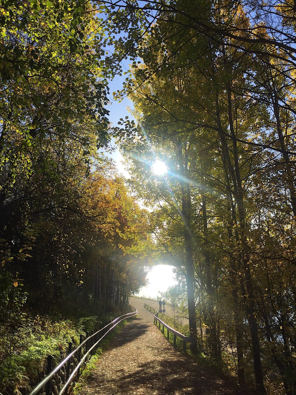 Man blir glad av hösten