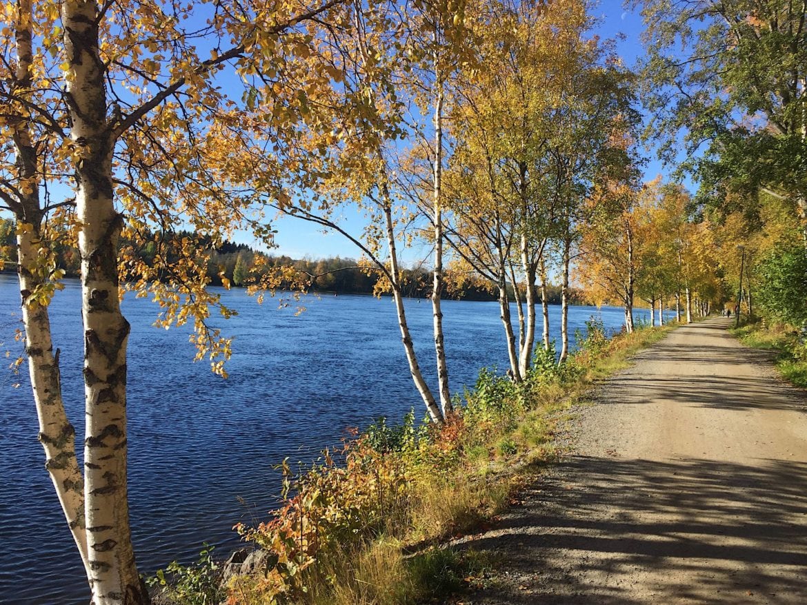 Man blir glad av hösten