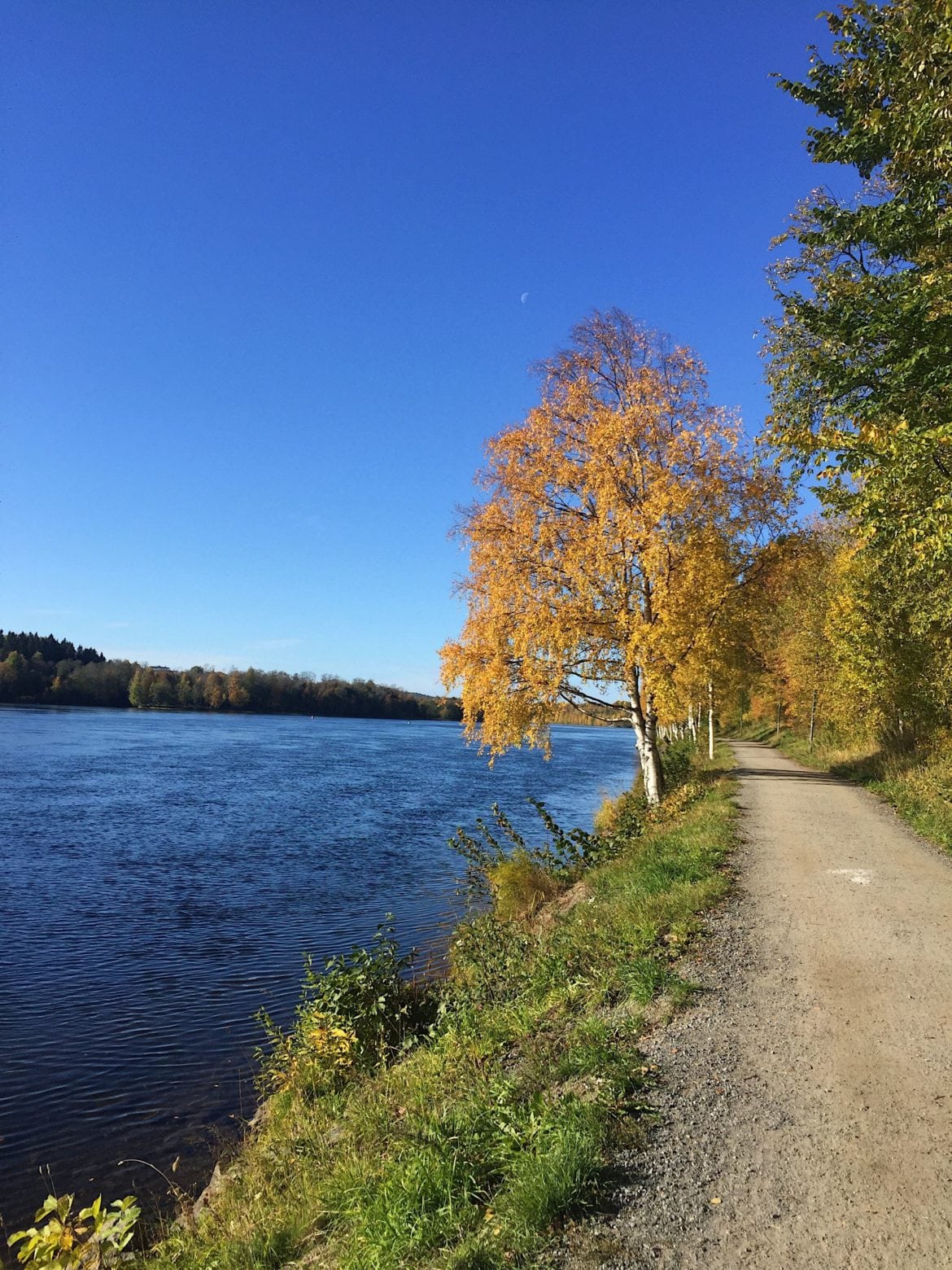 Man blir glad av hösten