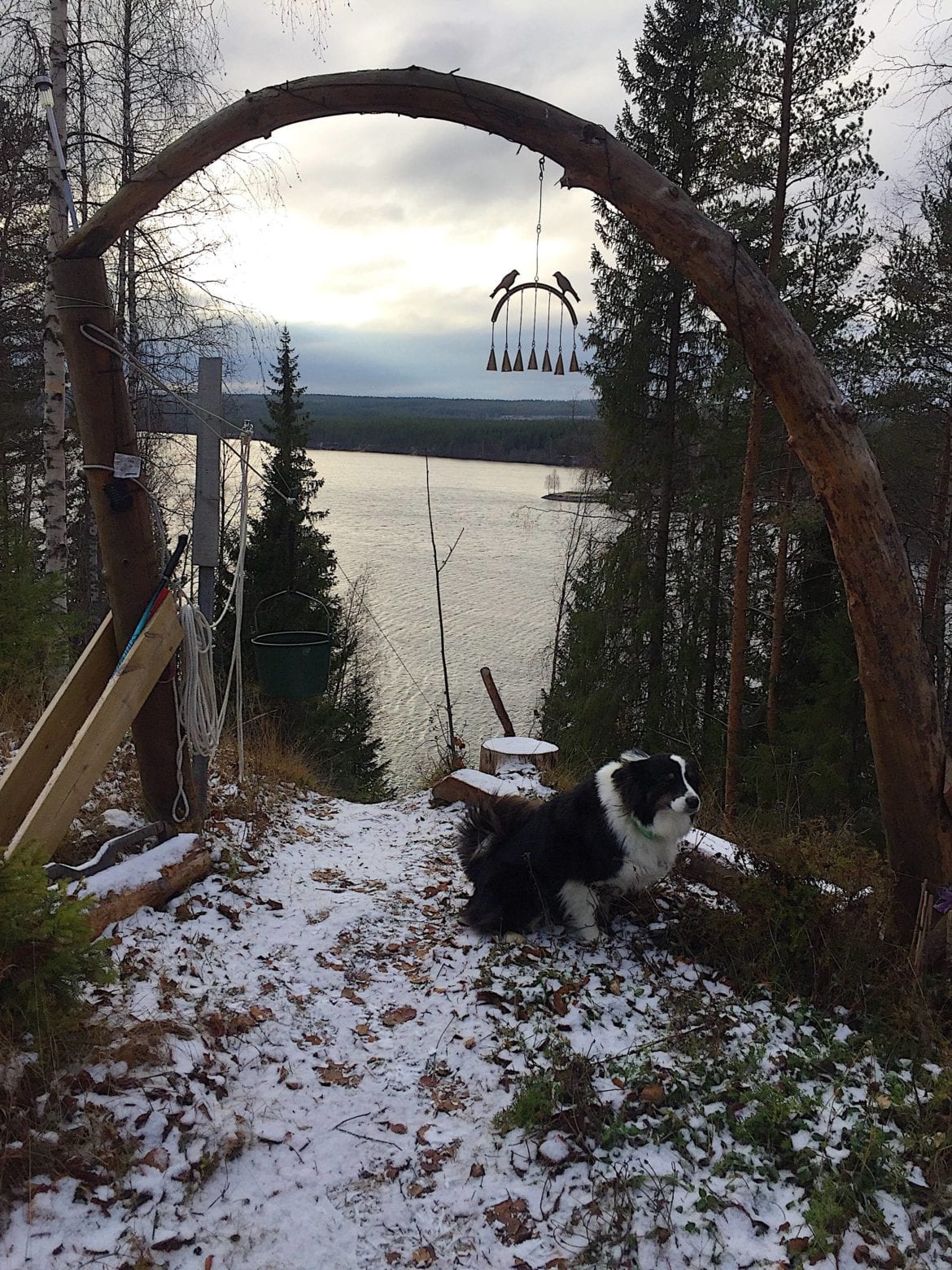 44704544_276385909750116_8533180013682360320_n - Första snön och att uppskatta miljöbyte