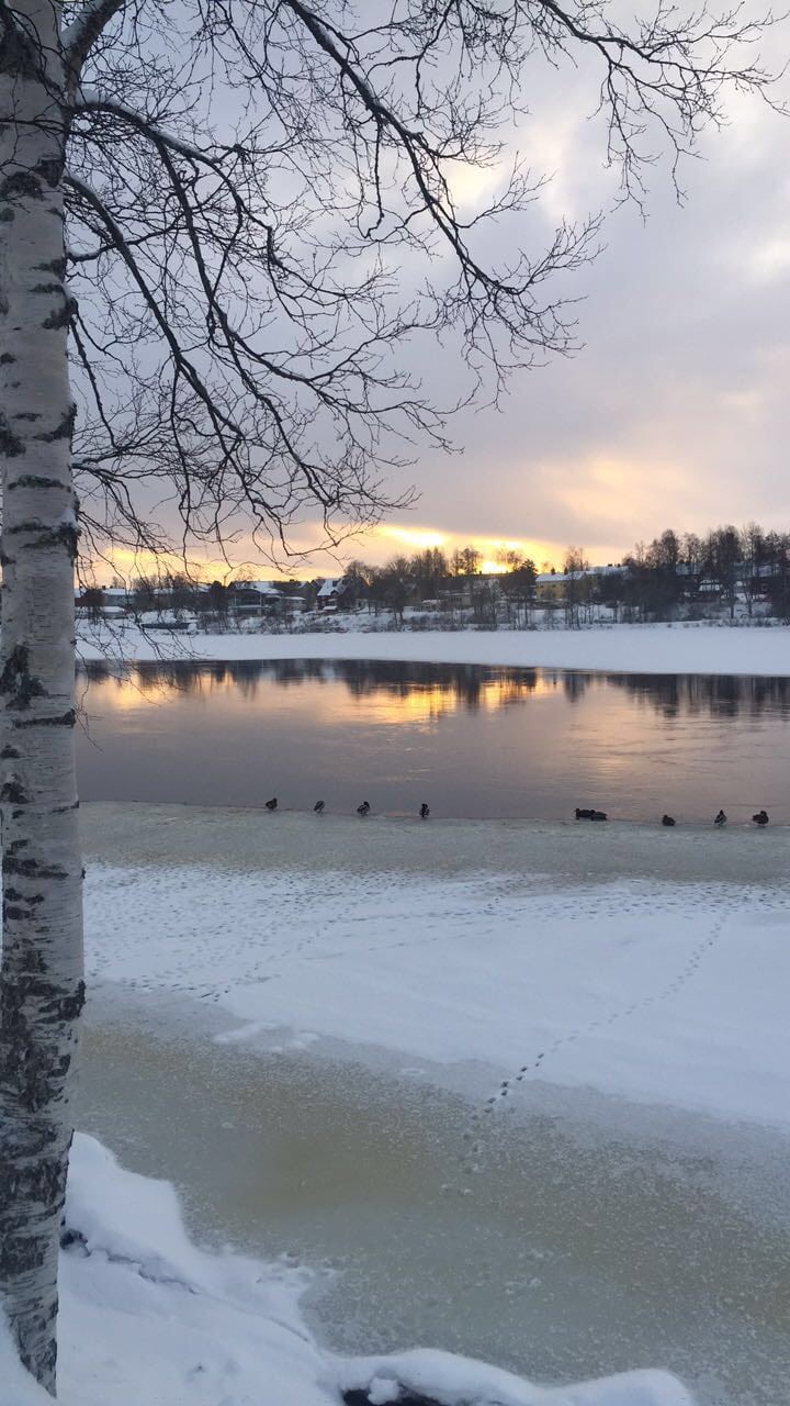 IMG_8771 - Hälsa som helhet