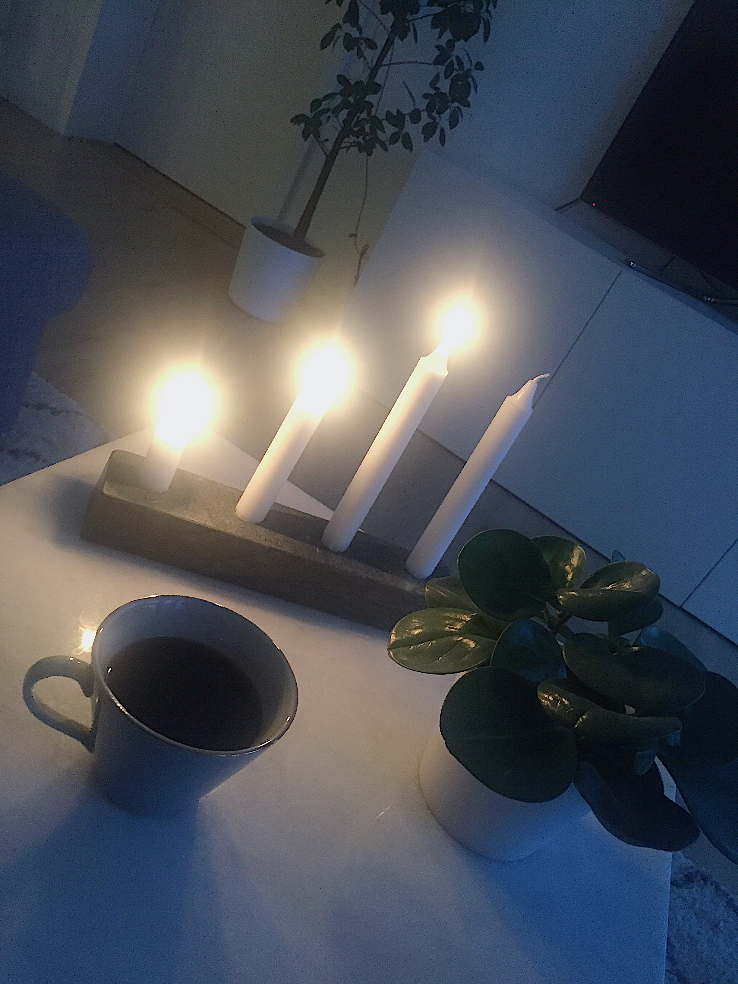 655ea6cc-363b-4d0c-bd20-c1959ac365b1 - veckan i bilder