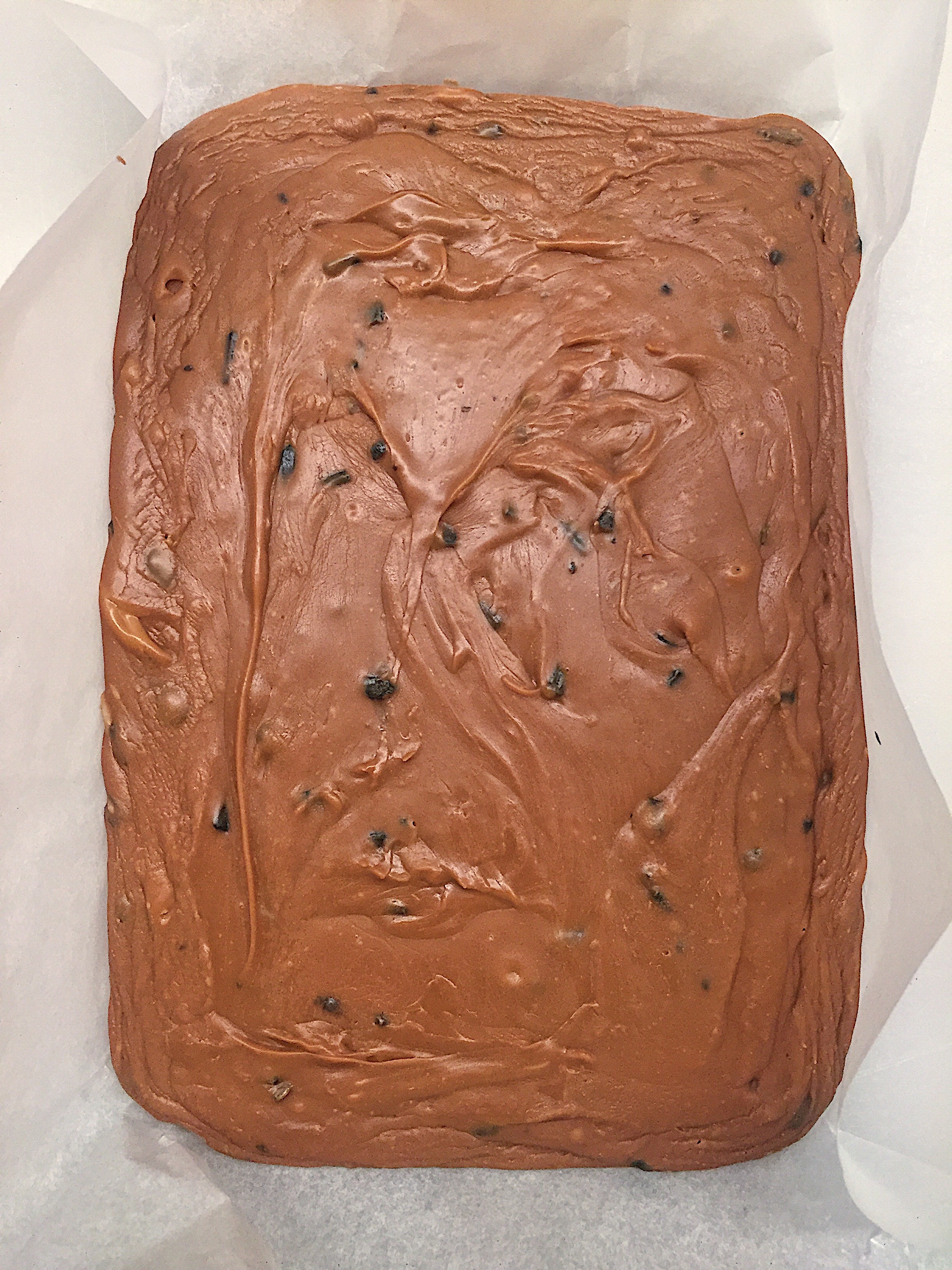 ba90105f-e297-4c9f-b930-a3bcdca0a44e-1 - veckan i bilder