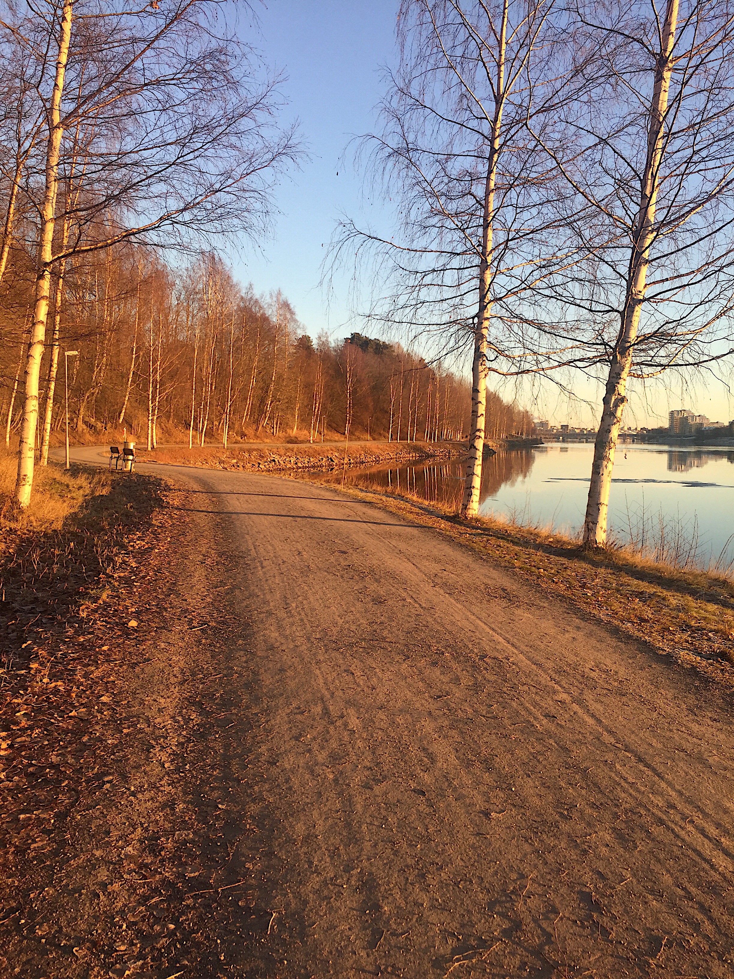 e42221ef-b055-4c4d-aaa4-077e4c15956f-1 - solen