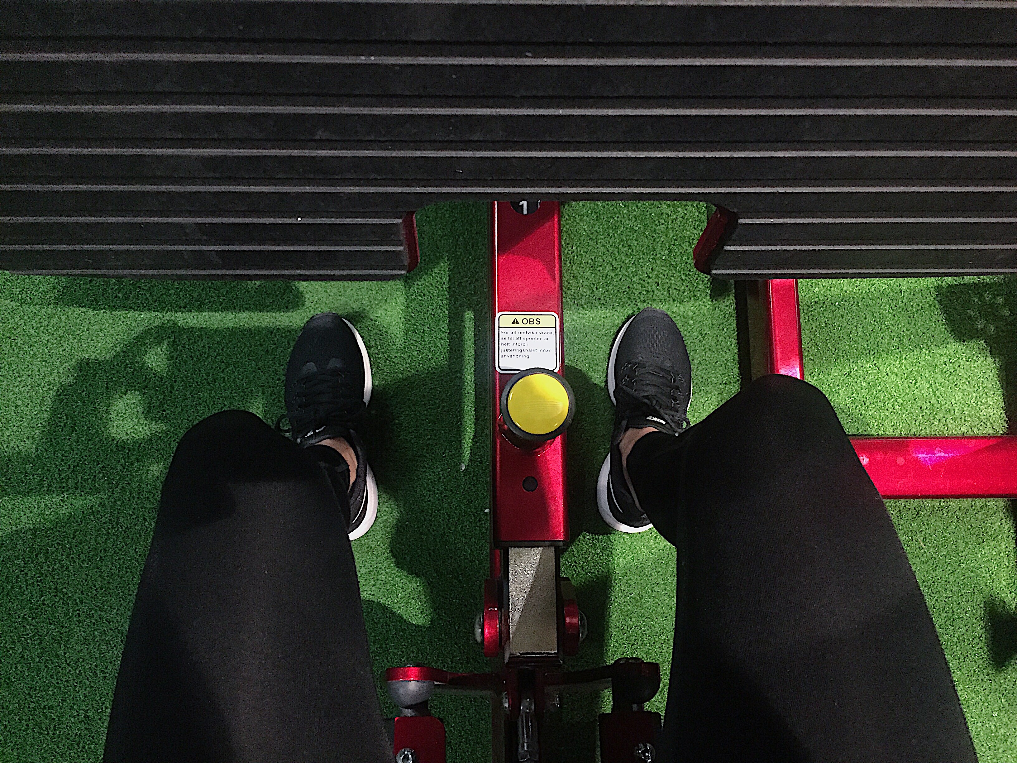 f3cd6e1c-3cdf-4507-907d-ecd3566873dc - veckan i bilder