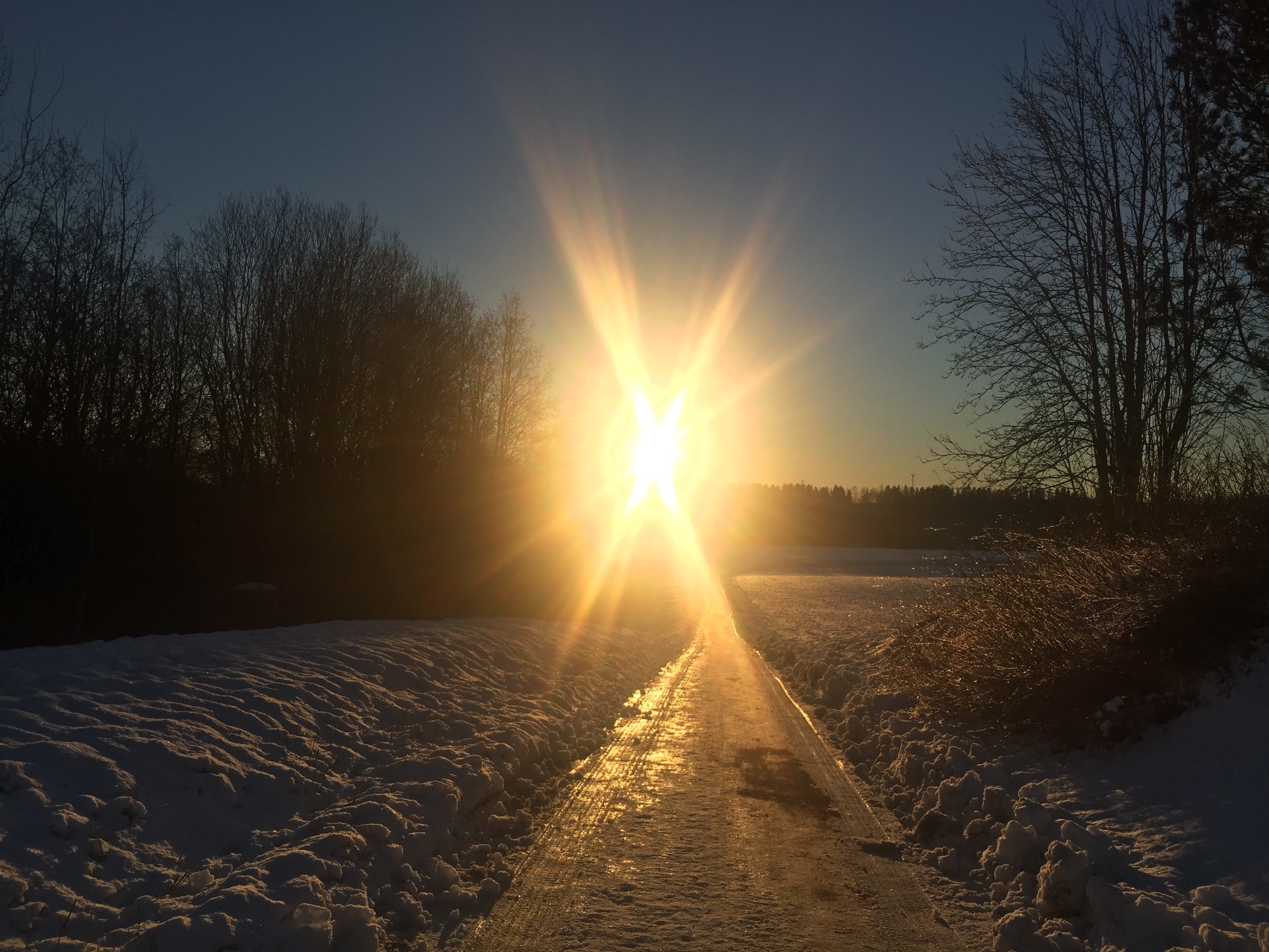 img_5512-e1544473321827 - veckan i bilder