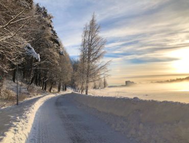 51640204_765328297171583_2695532775028555776_n