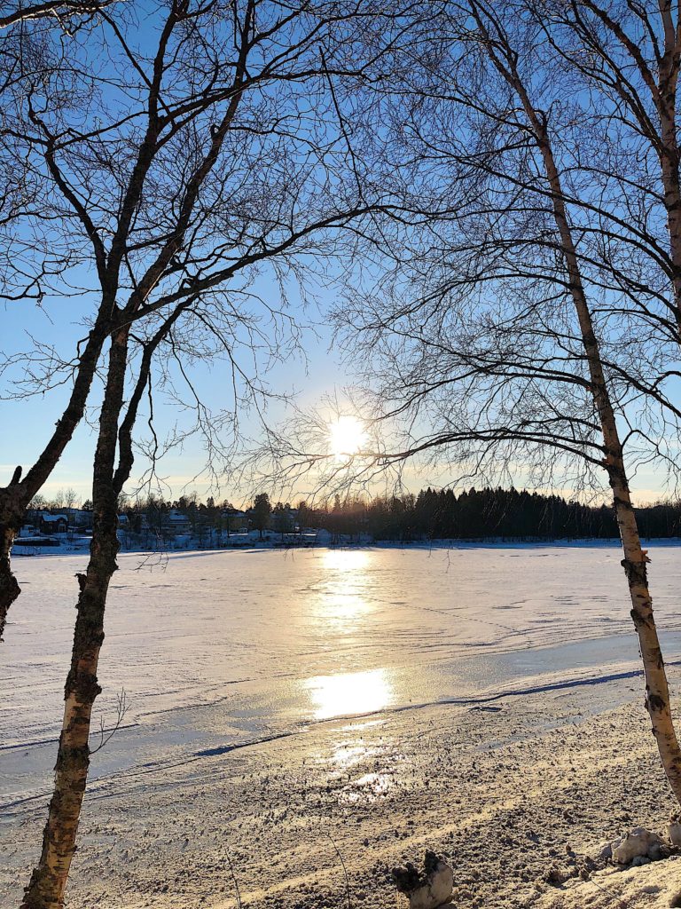 53316604_2702983489719361_8358382090344988672_n-768x1024 - Att uppskatta det friska när man är sjuk