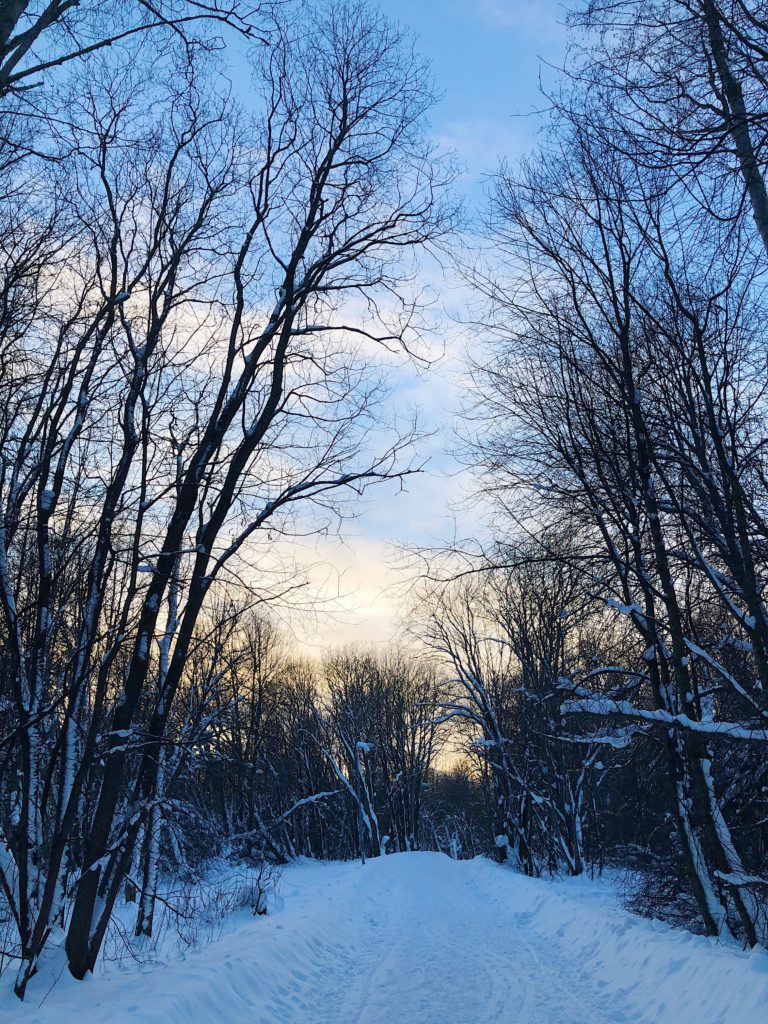 Helgen i bilder - promenad
