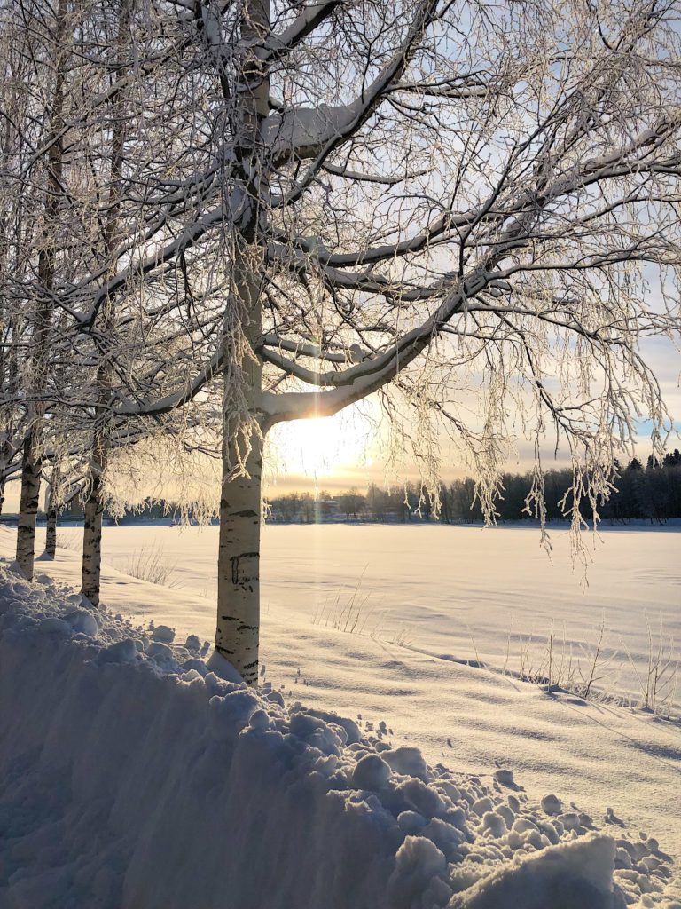 Vinter i Umeå