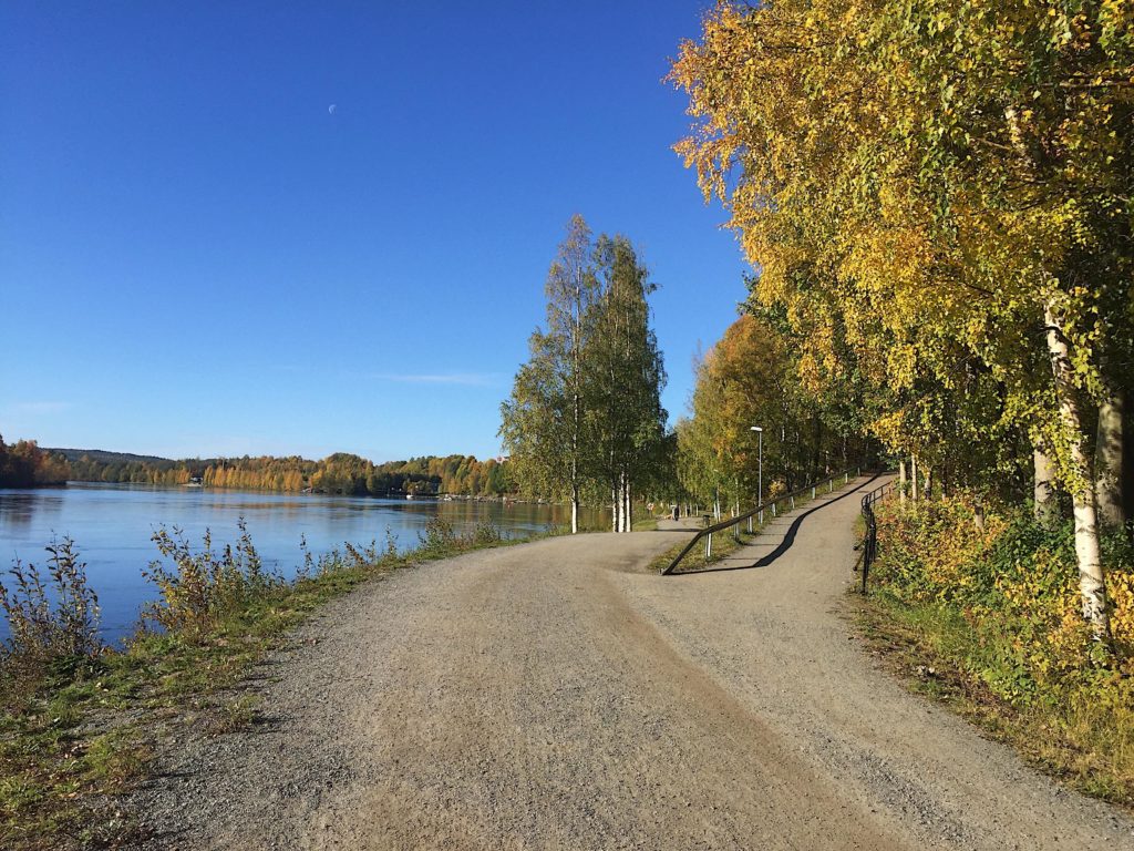 Hälsofrämjande
